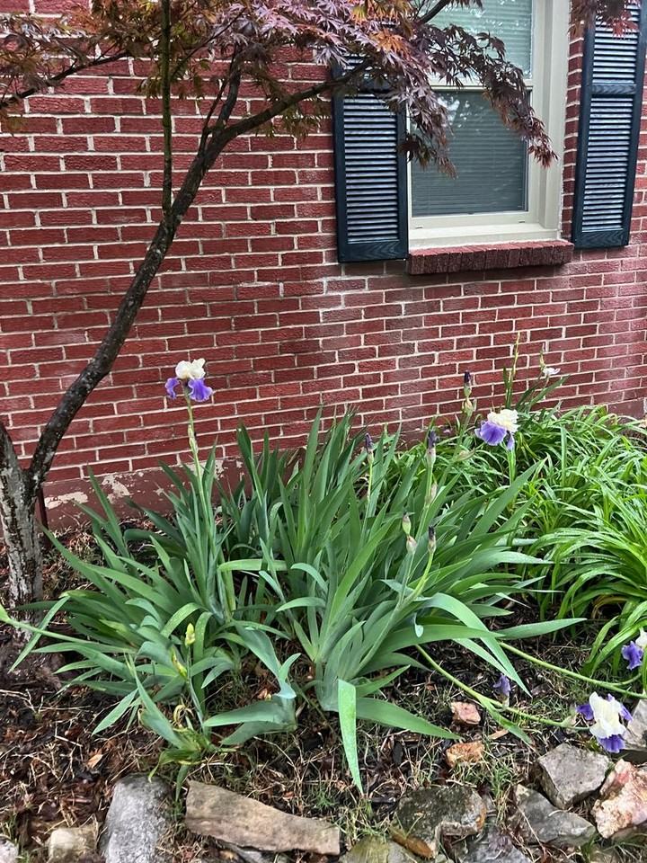 1033 E Kingsbury St - Photo 3 of 17