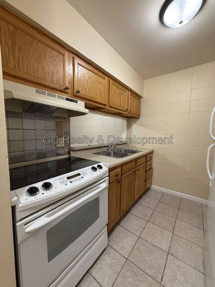 245 Uteg St #5 - Photo 4 of 13
