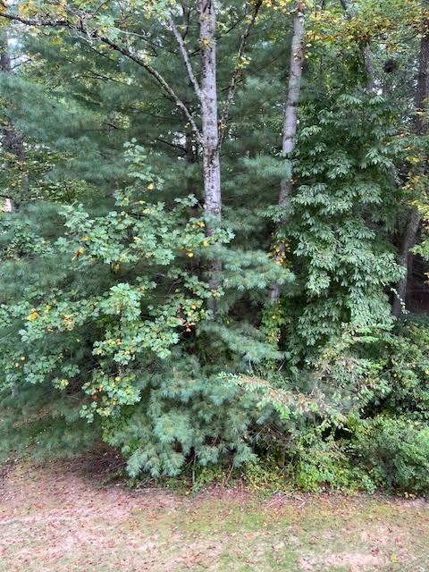 104 Live Oak Ln - Photo 3 of 16