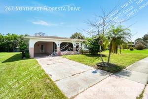 featured image of 267 Ne Floresta Dr