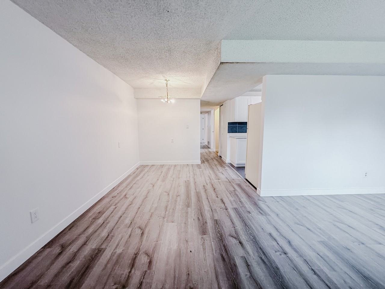 1513 36 Street SoutheastUnit B (Lower 1513 36 Street) - Photo 3 of 21