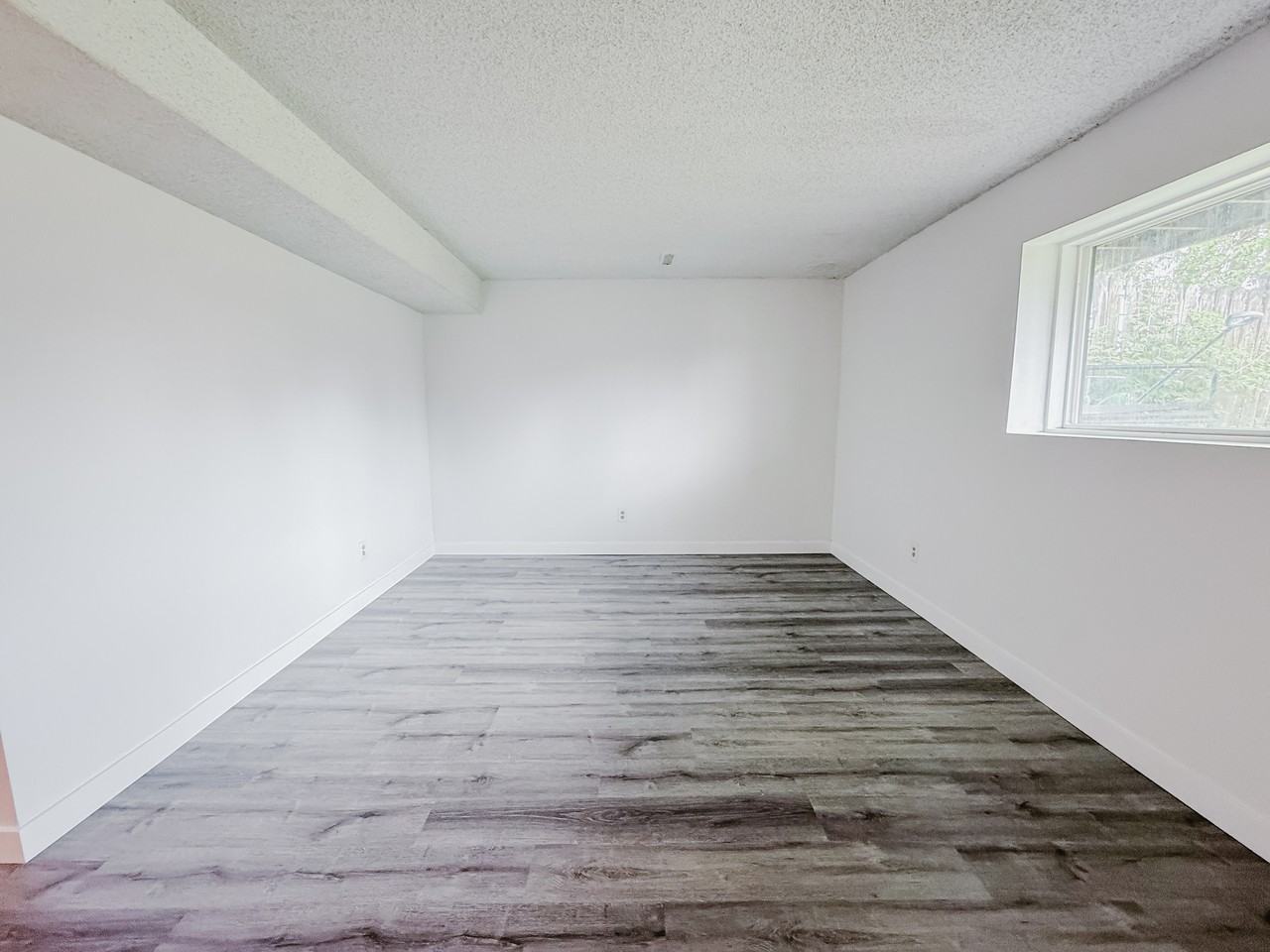 1513 36 Street SoutheastUnit B (Lower 1513 36 Street) - Photo 4 of 21