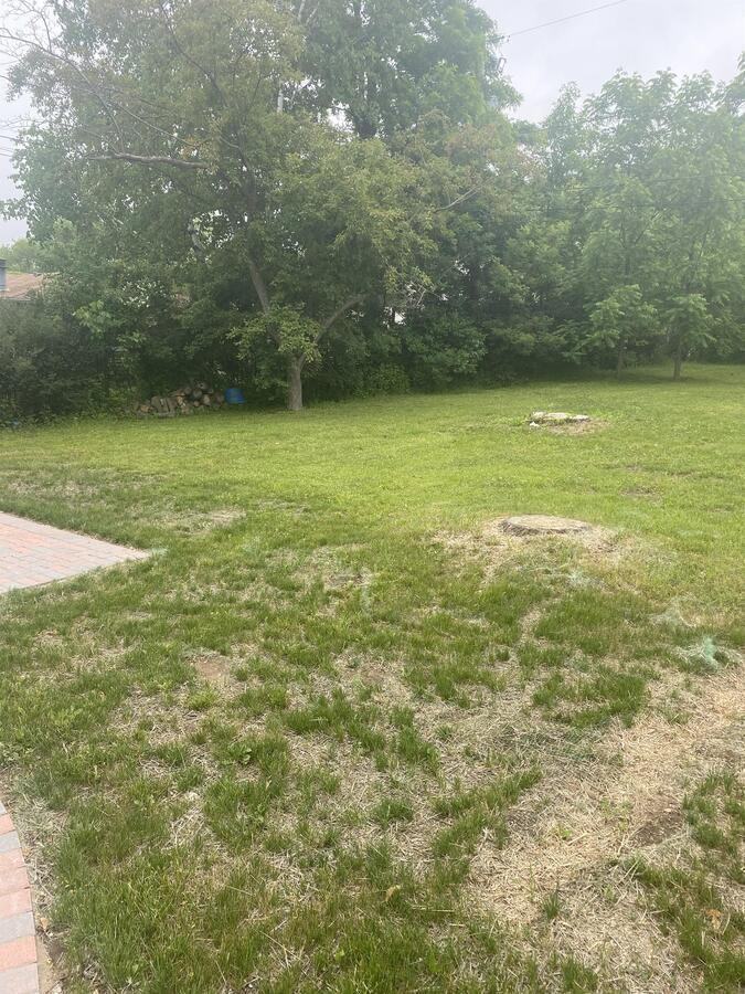 4913 W Minnesota Ave - Photo 3 of 15