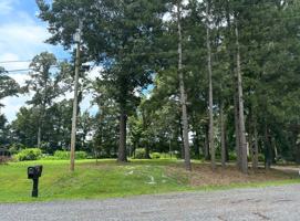 featured image of 115 Mark Ln