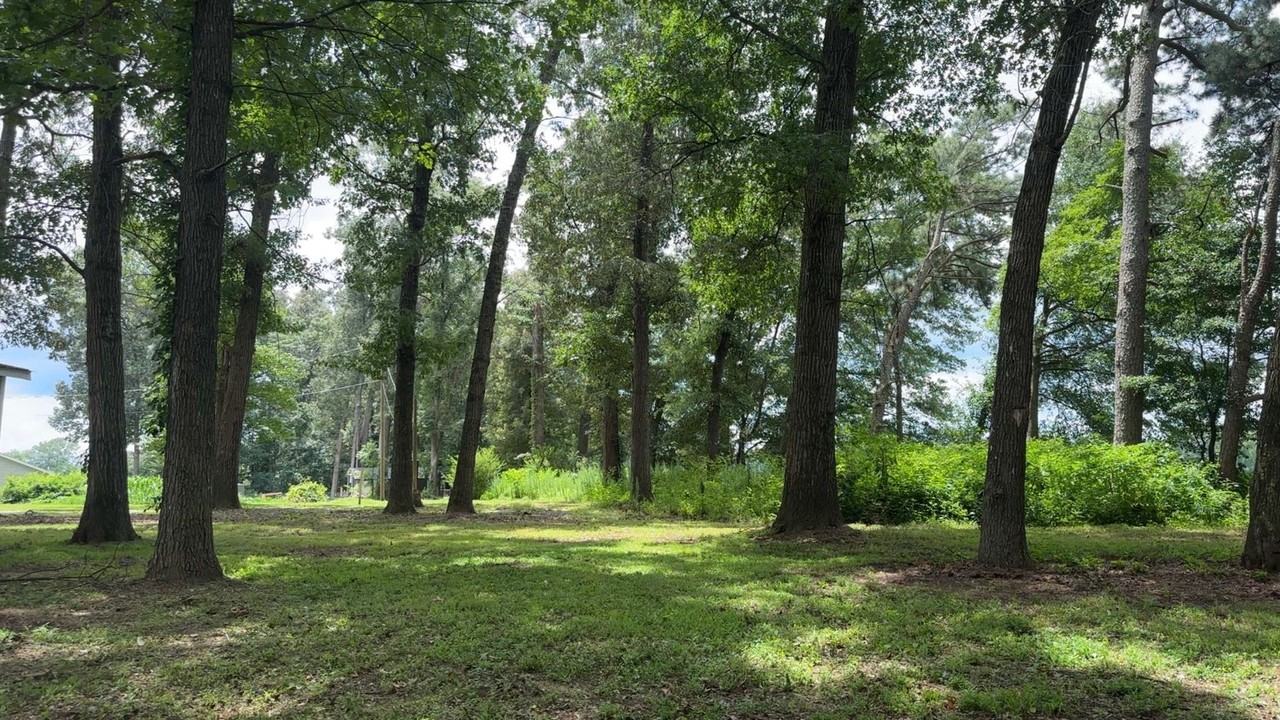 115 Mark Ln - Photo 2 of 3