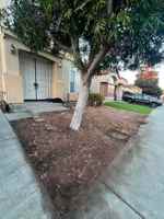 featured image of 181 Summerwind Dr