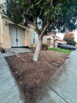 181 Summerwind Dr - Photo 1 of 1