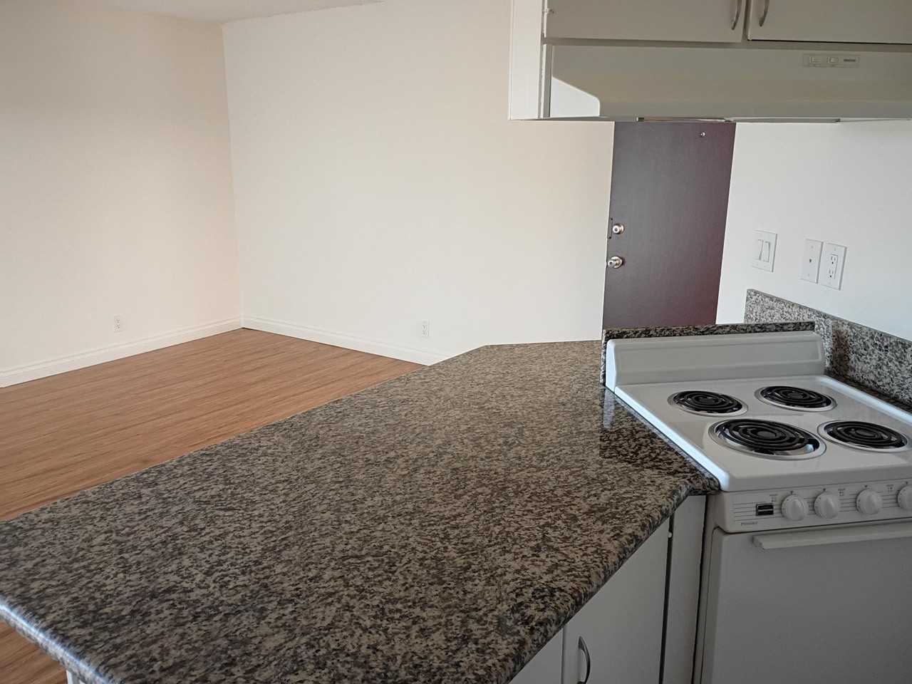 4901 Heil Ave - Photo 4 of 19