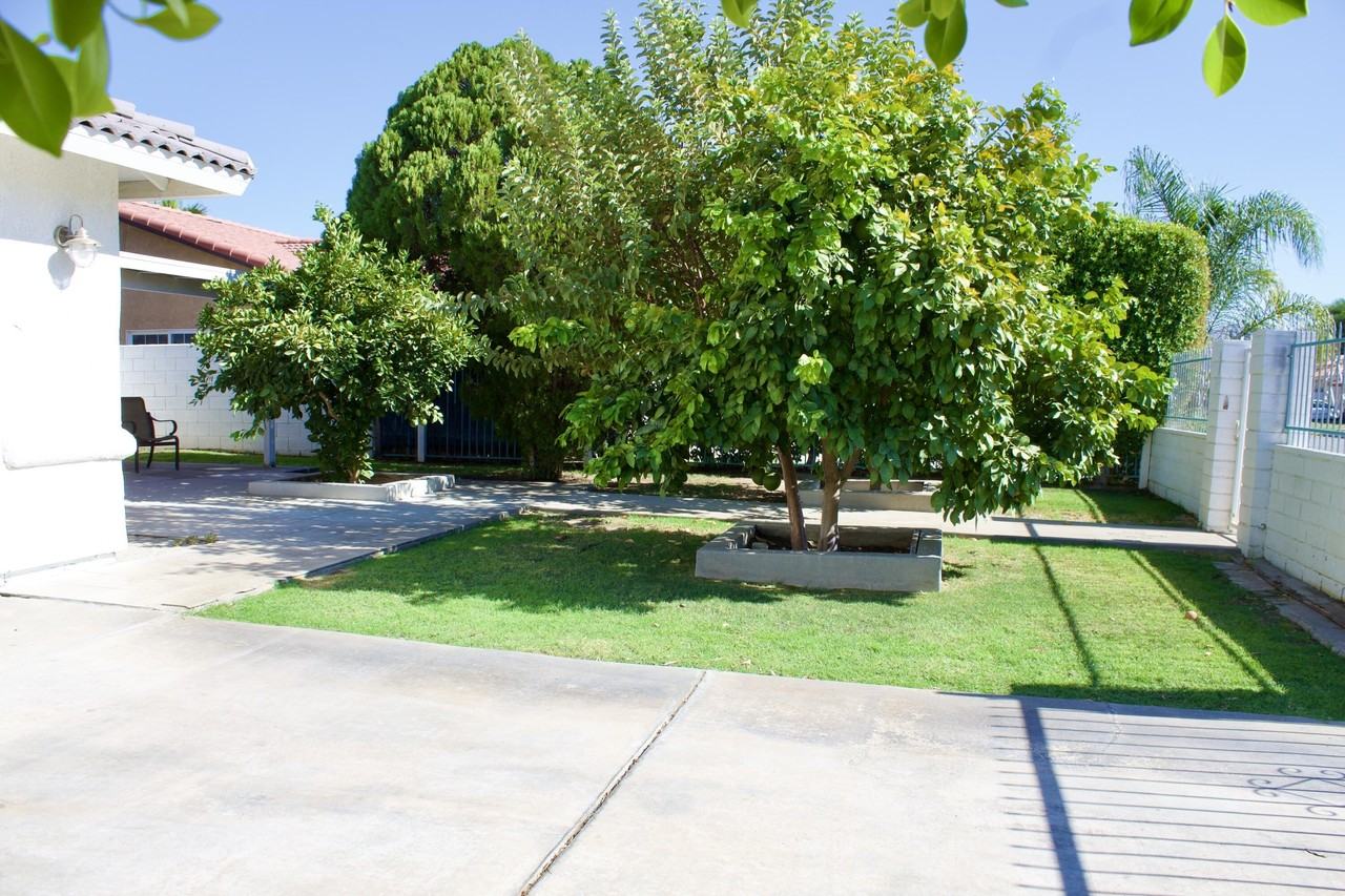 30650 Avenida Del Yermo - Photo 4 of 22