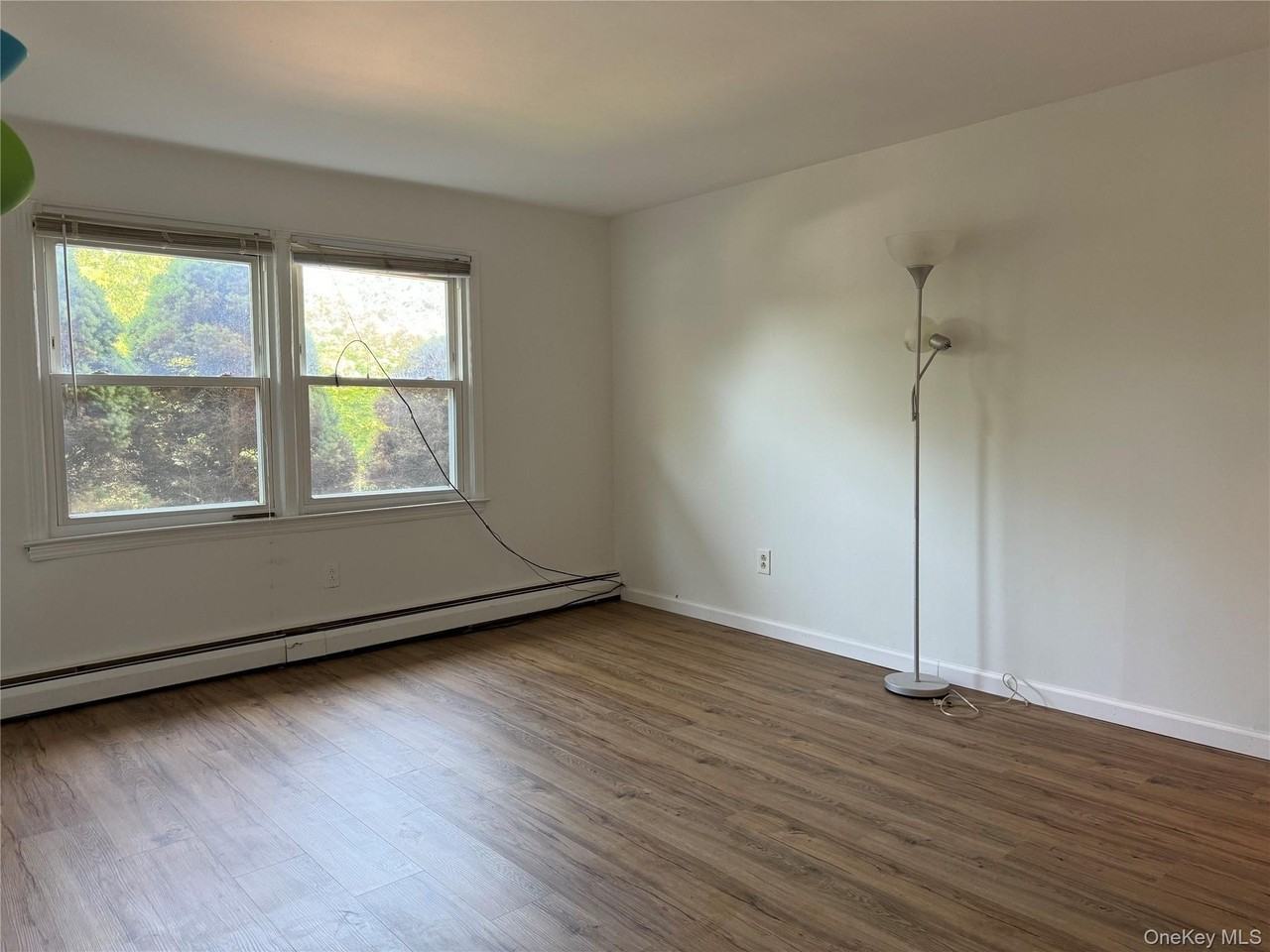 46 W Lane Dr - Photo 2 of 27