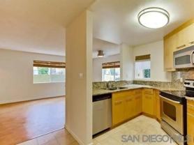 7425 Charmant Dr #2805 - Photo 1 of 1