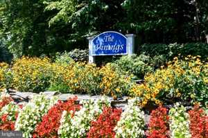 featured image of 11944 Cardamom Dr #11944