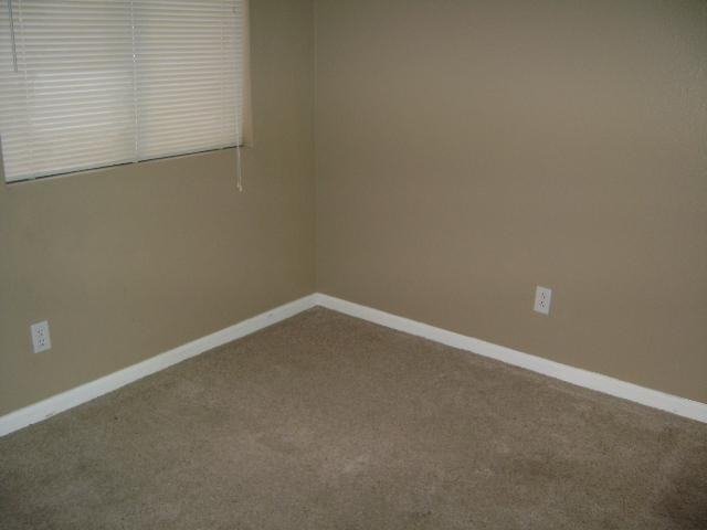 4901 S Calle Los Cerros Dr #143 - Photo 4 of 8
