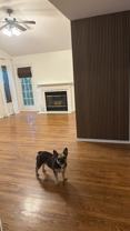 113 N Fiore Pkwy - Photo 1 of 1