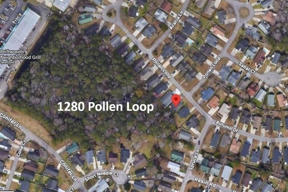 1280 Pollen Loop - Photo 7 of 40