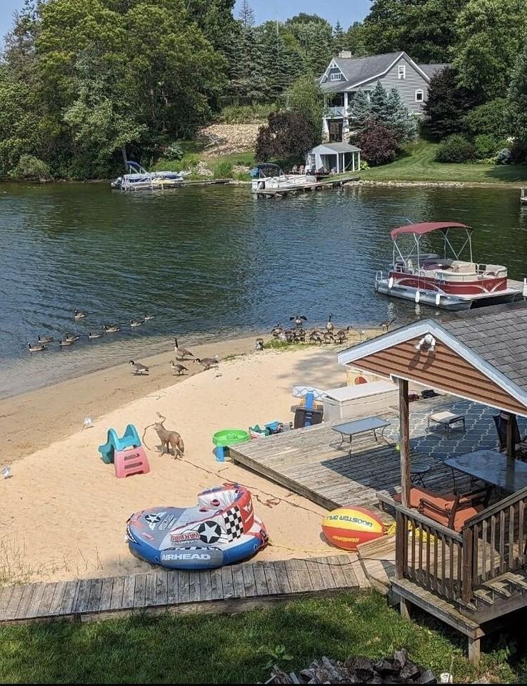 275 St Marys Lake Rd - Photo 3 of 19