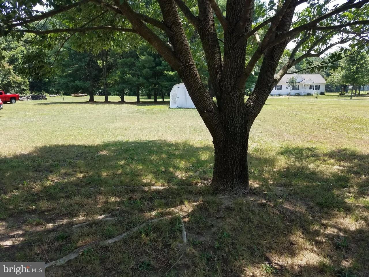 10118 Dahlgren Rd - Photo 5 of 17