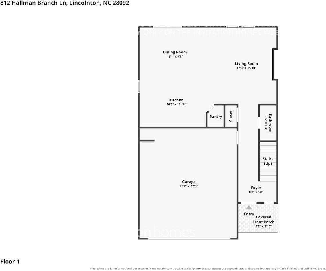 812 Hallman Branch Ln - Photo 3 of 18