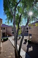 featured image of 210 E Brown Rd