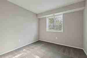 featured image of 3511 Briarwood Dr