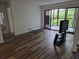 811 Helmcken Street #307 - Photo 1 of 1