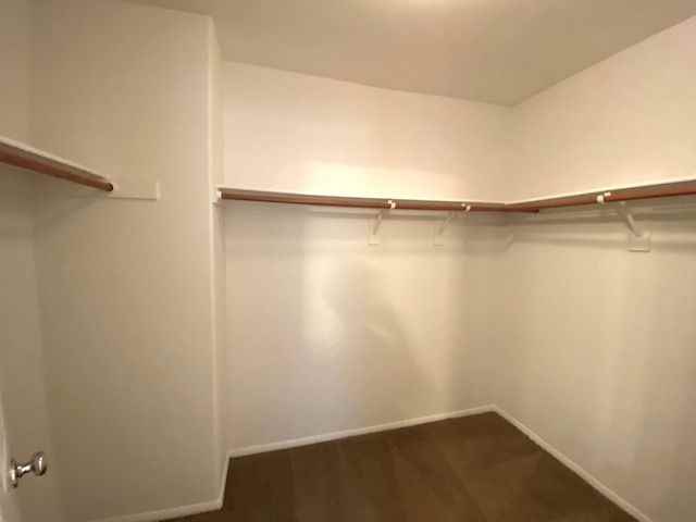 32 Trailing Vine - Photo 7 of 11