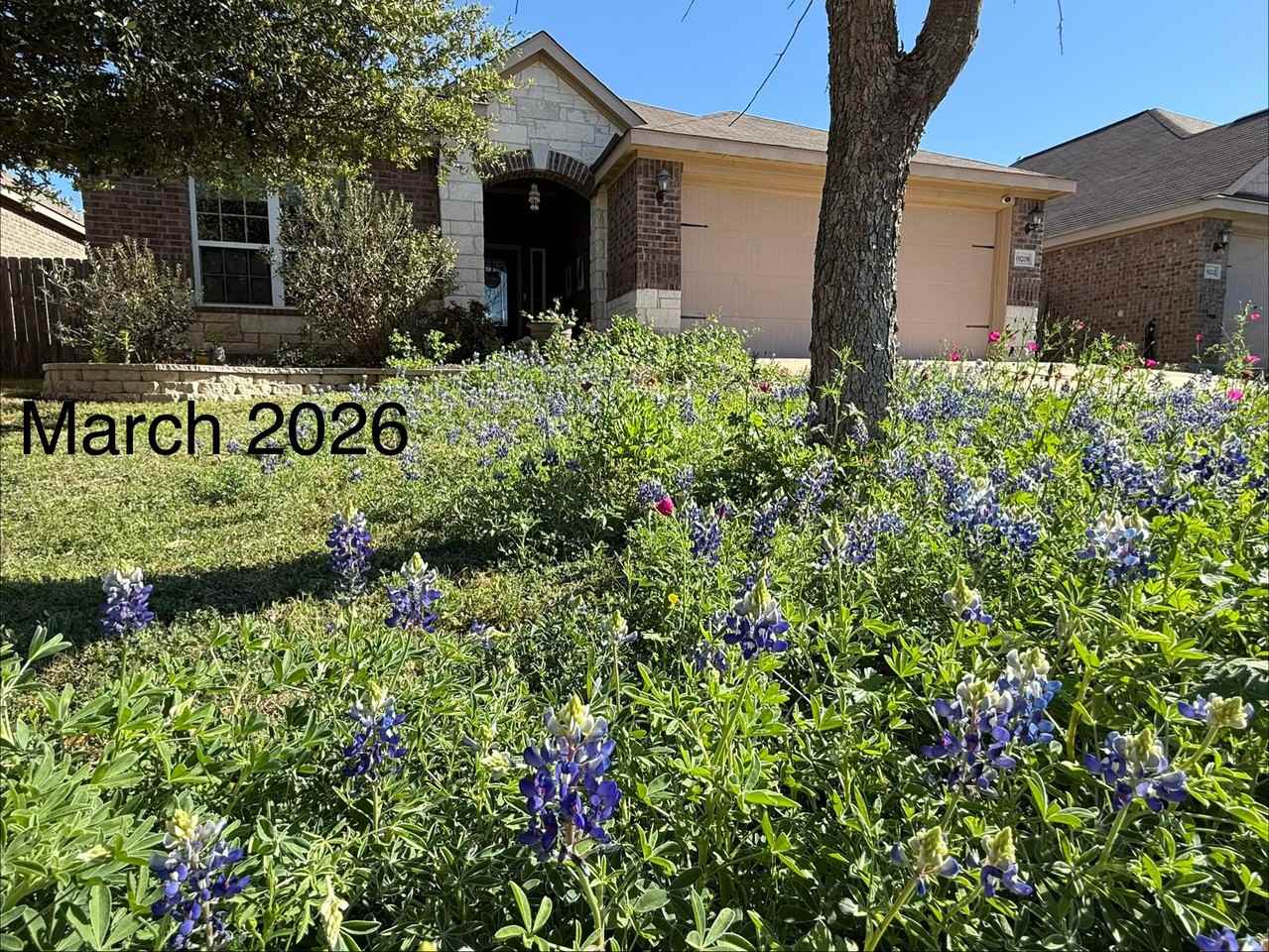 19208 Ellary Ln - Photo 2 of 17