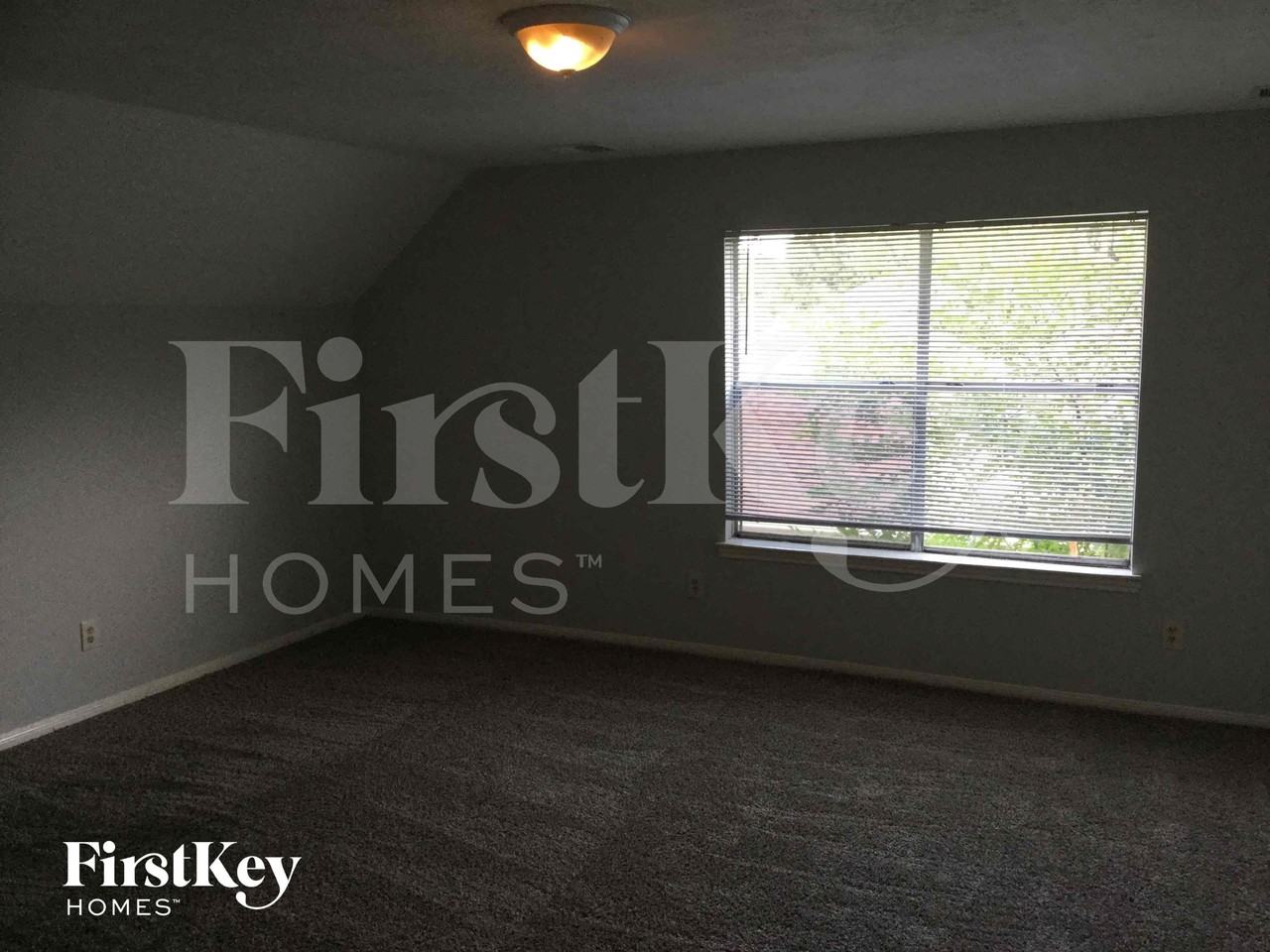 14114 Falling Elm Ln - Photo 4 of 12