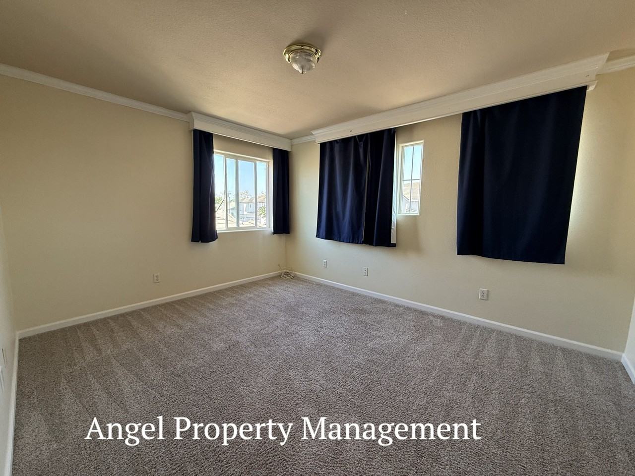 5301 Nectar Cir #1 - Photo 5 of 16