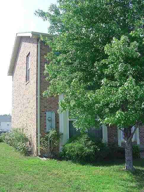 301 Barrington Ln - Photo 7 of 7