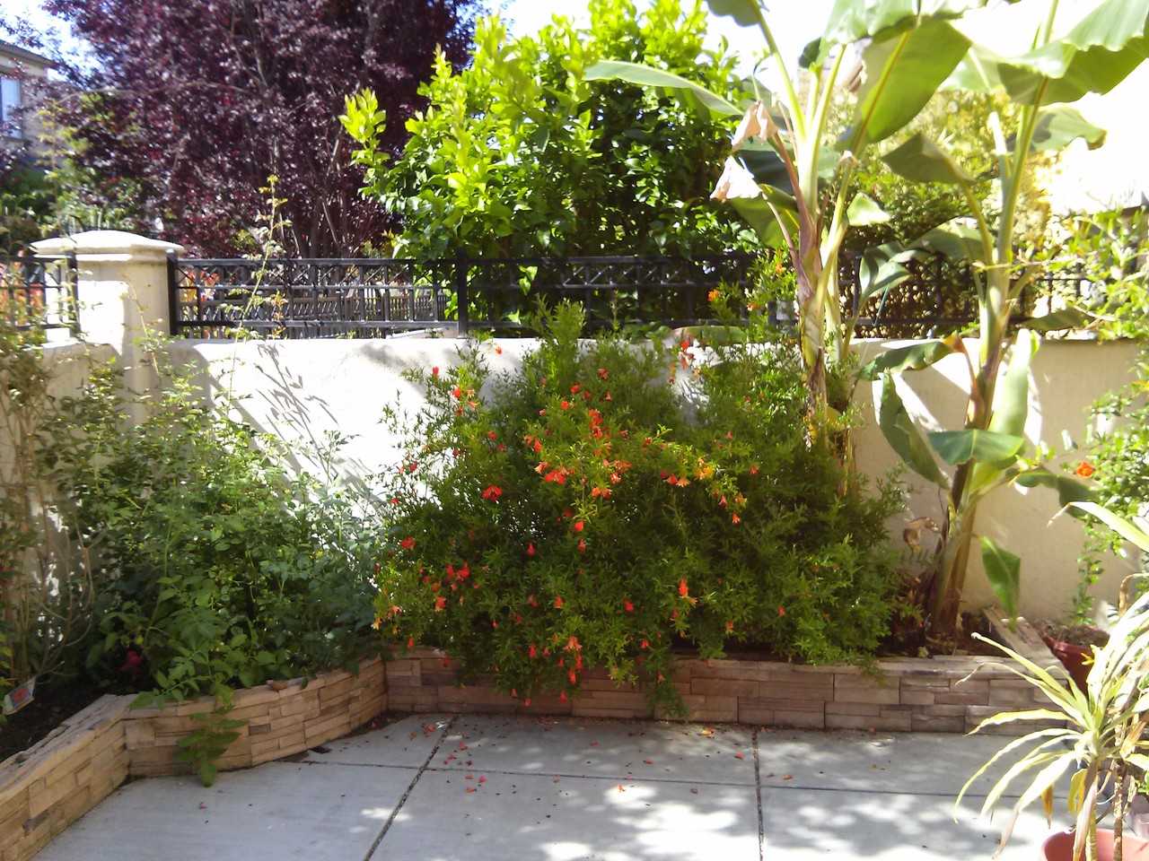 Aborn Rd & Altamara Ave - Photo 3 of 22