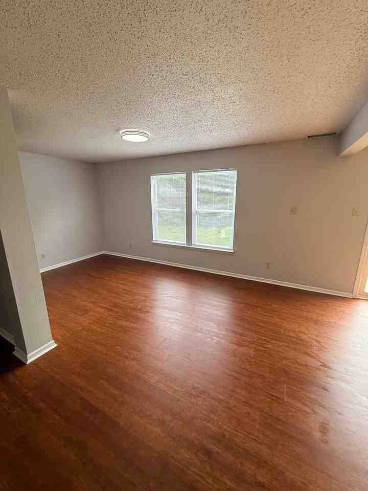 10391 Cotton Blossom Dr - Photo 4 of 19