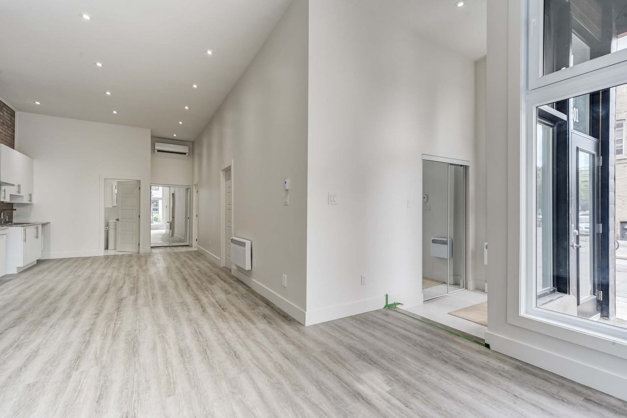 3501 Rue Sainte-Catherine Est #3501 - Photo 4 of 18