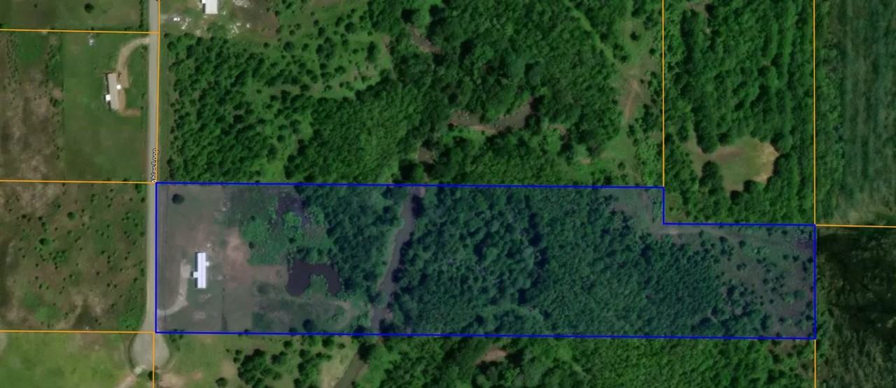 424 Ables Loop - Photo 2 of 3