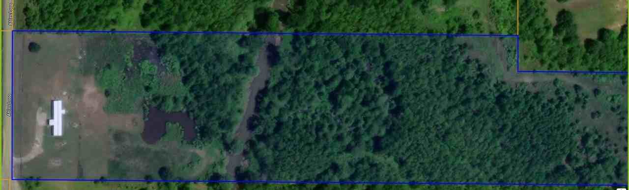 424 Ables Loop - Photo 3 of 3