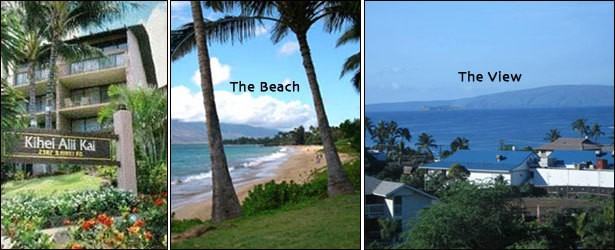 2387 S Kihei Rd - Photo 4 of 9