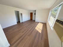 Beautifully Remodeled Apartment in Hyperion Ave., LA - Photo 1 of 1