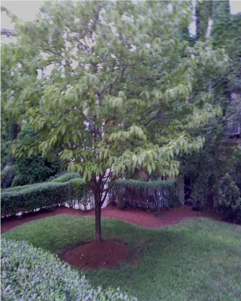 1872 Commonwealth Ave #7 - Photo 2 of 11