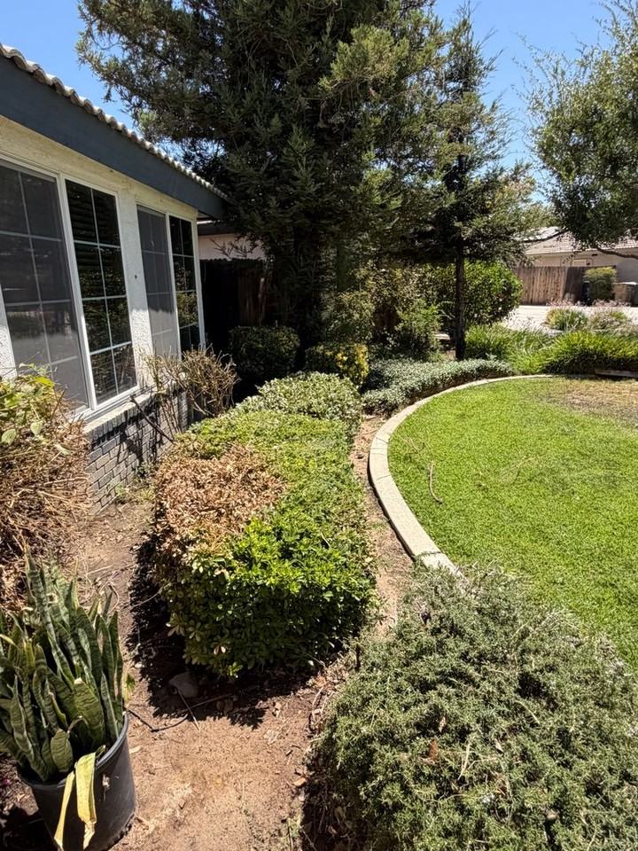 5800 Potenza Ln - Photo 6 of 50