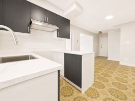 featured image of 4210 Rue Saint-Zotique E