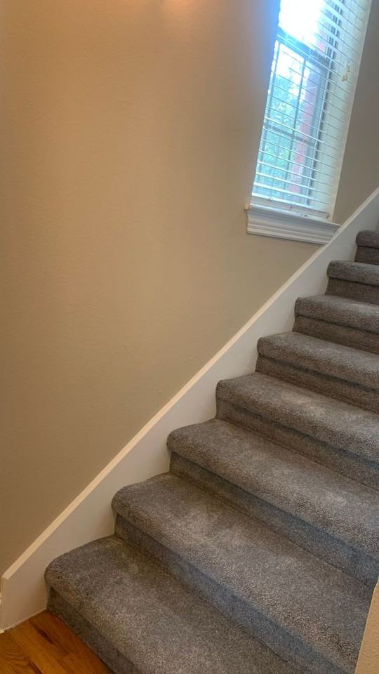 1303 Halcyon Pl - Photo 4 of 20