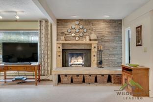101 Ryan Gulch Ct - Photo 1 of 1