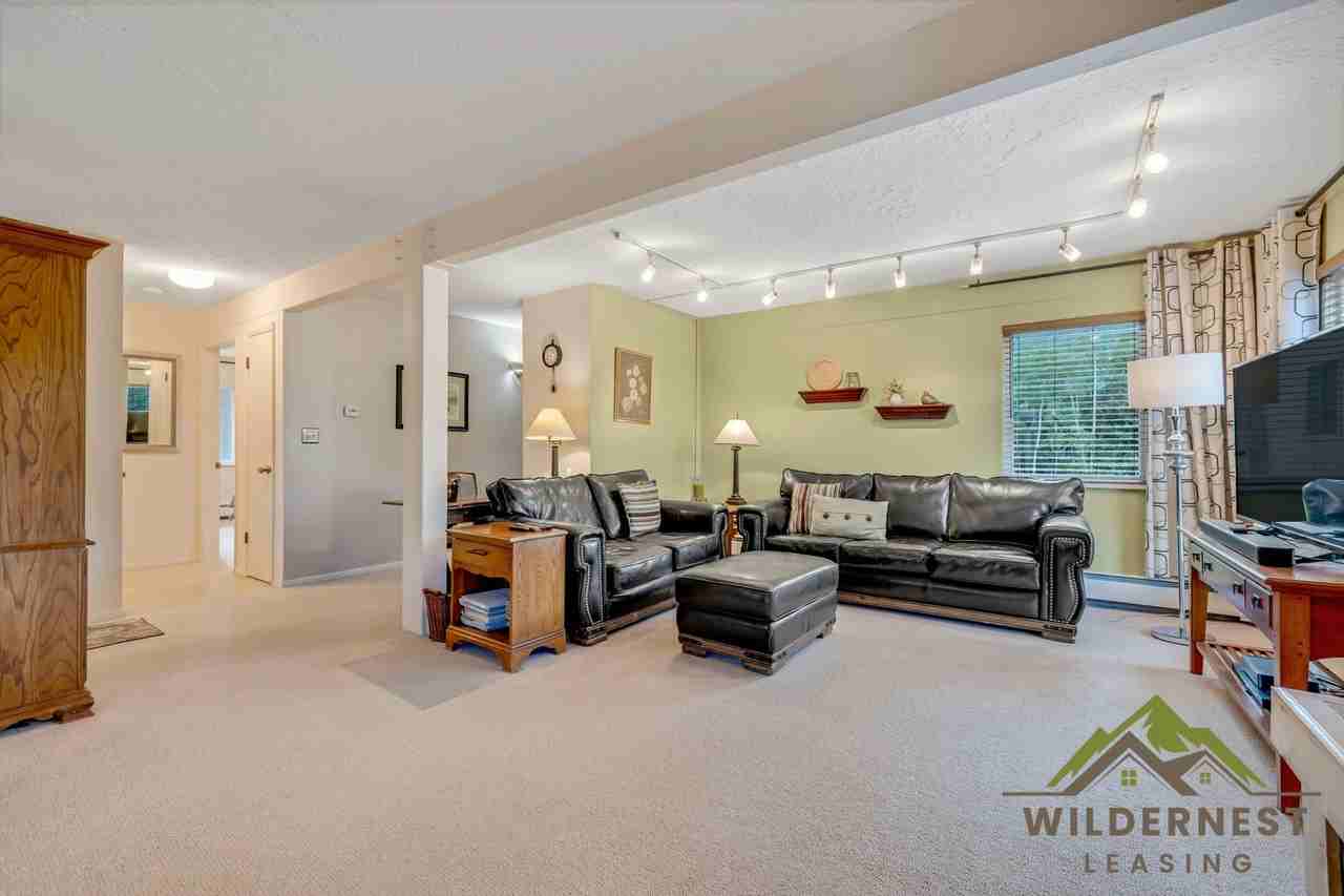101 Ryan Gulch Ct - Photo 3 of 24
