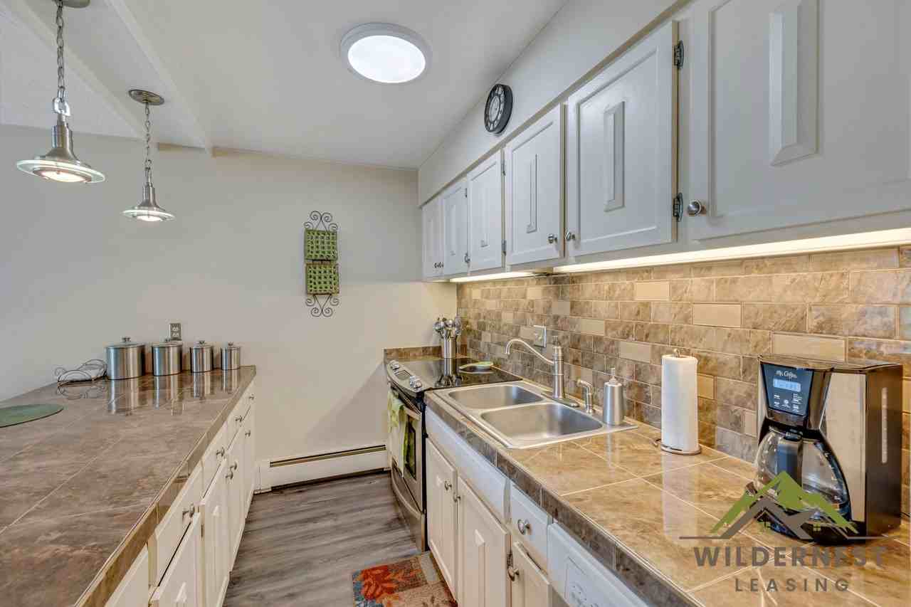 101 Ryan Gulch Ct - Photo 4 of 24