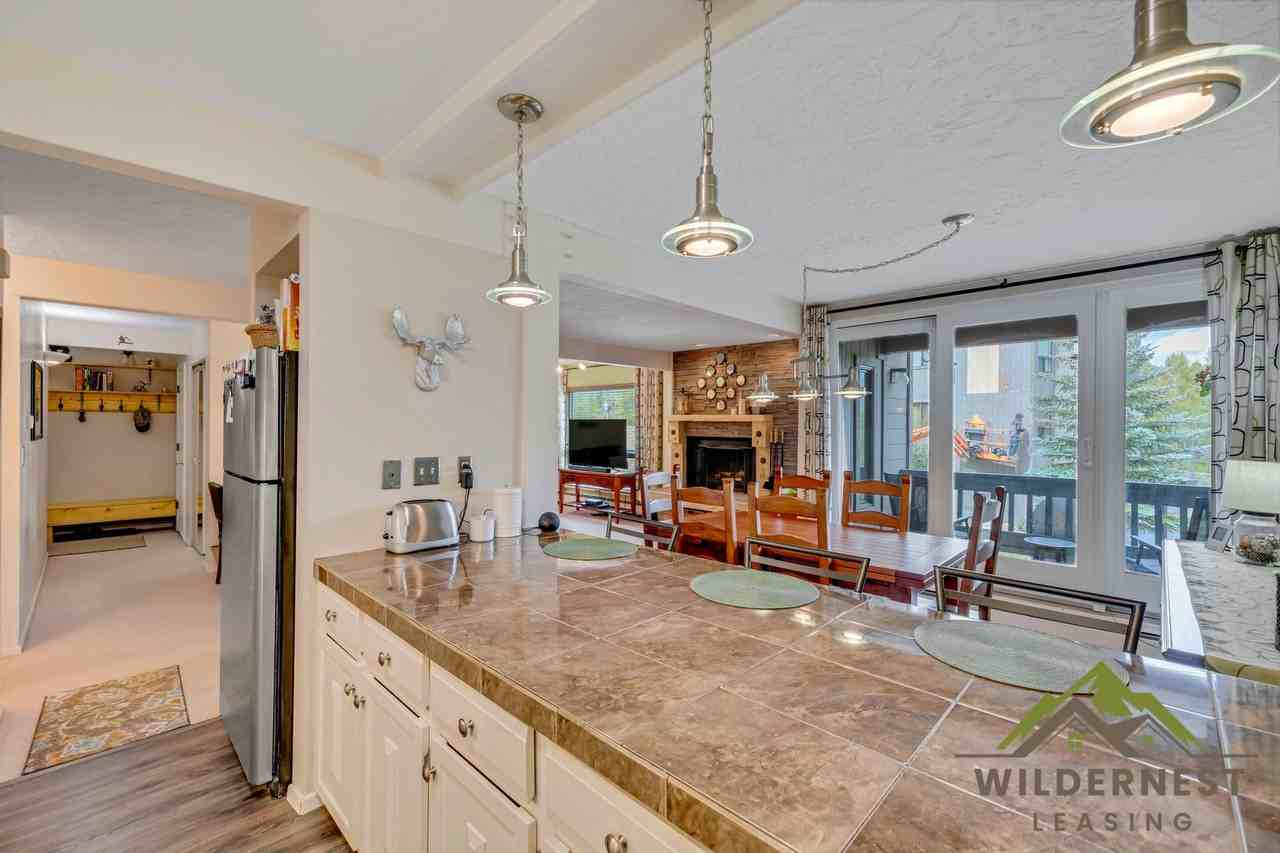 101 Ryan Gulch Ct - Photo 7 of 24