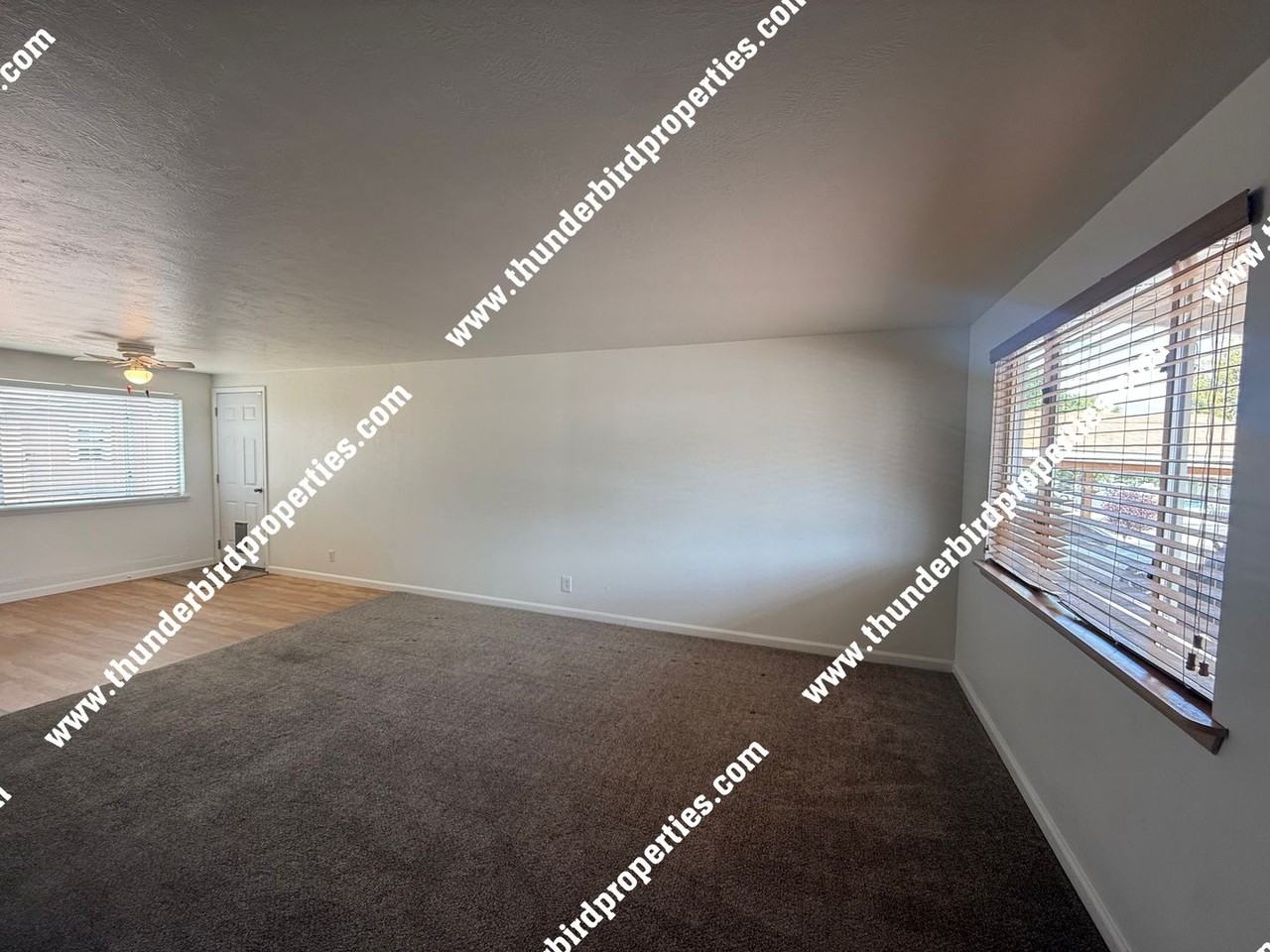11004 Mcknight Ave Ne - Photo 2 of 15
