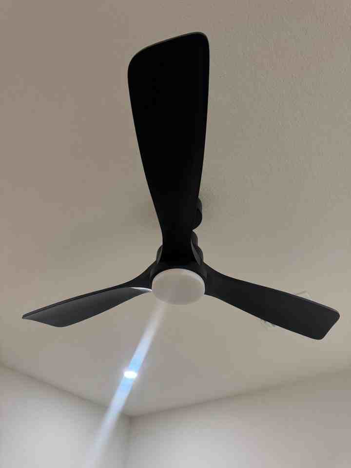 325 Vargas Aly #101 - Photo 4 of 20