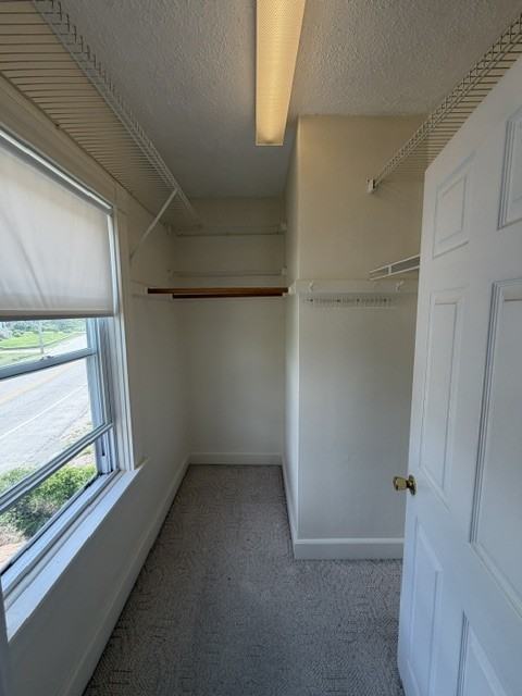 43 Pilgrim Ave #1 - Photo 7 of 14