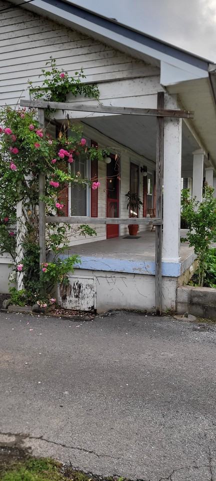 303 Morton Ave #A - Photo 3 of 13