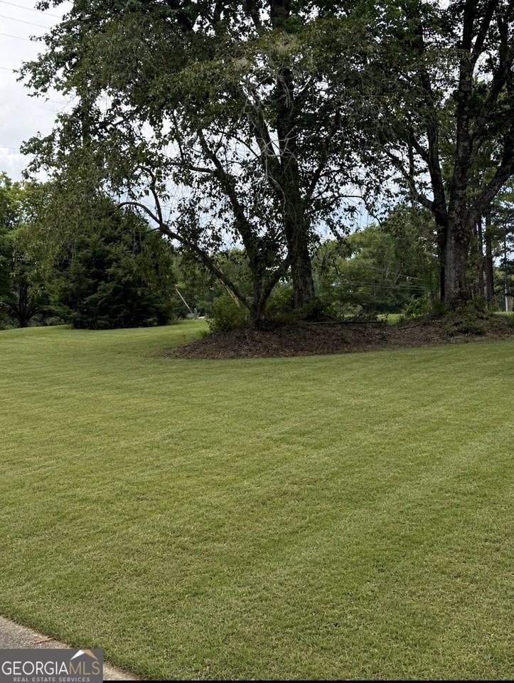 393 New Hope Rd - Photo 4 of 30